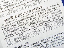 マゴチ長竿に「金剛 激 あおり」！　でも…強度が足りんって