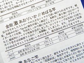 マゴチ長竿に「金剛 激 あおり」！　でも…強度が足りんって