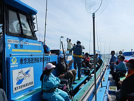 頑張った。でも凡庸な成績のまま終わった江戸前マゴチ大会