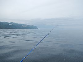 シャクリ疲れた宇佐美の帰り♪　これでカイワリも終わりかな