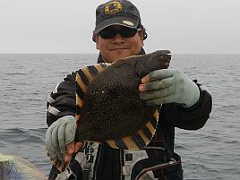 クロソイ改めタヌキ？ キツネ？ 北海道の釣魚のお勉強だ