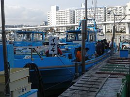 さらば剣崎沖イサキ！　また来年も一緒に遊んでなぁ～～♪