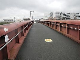 カワハギ2014開幕♪　大雨の中ツ抜け達成で ( ´ｰ`)ﾄﾞﾔ顔