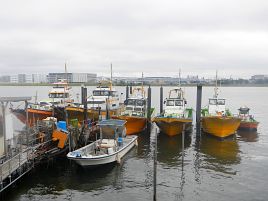 カワハギ2014開幕♪　大雨の中ツ抜け達成で ( ´ｰ`)ﾄﾞﾔ顔