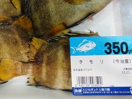 「タモリ」は知盛。平家にまつわる魚の名前を調べてみたぞ