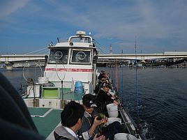 江戸前釣り大会の練習のLTアジで43匹。でもサイズが……