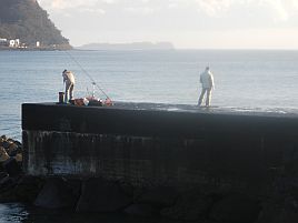 NW伊豆合宿 堤防にて風と波に苦戦。午後カイワリも中止