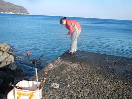 NW伊豆合宿 堤防にて風と波に苦戦。午後カイワリも中止