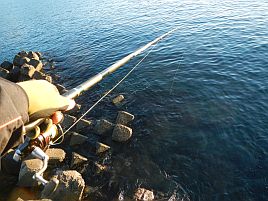 NW伊豆合宿 釣れなくて釣れなくて釣れなくてつらいよぉ～