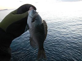 NW伊豆合宿 釣れなくて釣れなくて釣れなくてつらいよぉ～