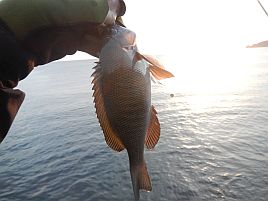 NW伊豆合宿 釣れなくて釣れなくて釣れなくてつらいよぉ～