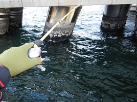 3週間ぶりの東京湾だ。海はいいね♪　釣りって楽しいね♪