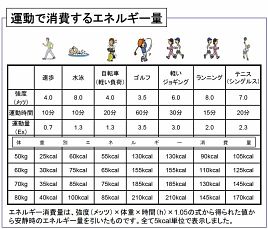 釣行を正当化するために釣りの消費カロリーを計算してみる