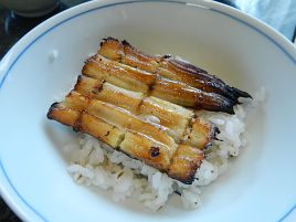 アナゴ丼♪　アナゴ丼♪　アナゴドン釣りたい♪　お腹いっぱい♪