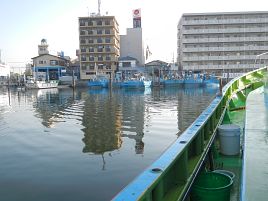 ゴムなしでも針掛かり率は改善せず苦戦した八景沖LTアジ