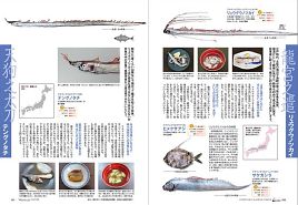 「美味しいマイナー魚介図鑑」…これ、絶対に買っちゃうな