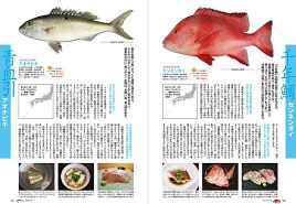 「美味しいマイナー魚介図鑑」…これ、絶対に買っちゃうな