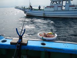 浮かんで沈んで涙目で意地になる。尺超え含めイサキ40匹