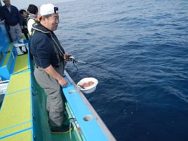 素直になれずキントキ逃しカイワリ不在でしょんぼりウィリー