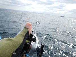 良型マトウで溜飲下げるも洲崎沖にカイワリの気配感じず