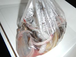 ダメか!!と涙目…ラスト30分間で巻き返せた夜アナゴ開幕戦