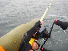 2安打だけど長打はなし。春の海ひねもすのたりマゴチかな