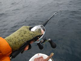 ウィリー：釣法別インデックス