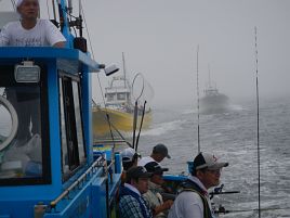 目標に89匹足らず…7月のワースト記録を塗り替えてもうた