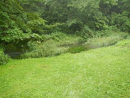 最後まで雨。オショロ＆ニジマスと戯れて北海道を締めくくる