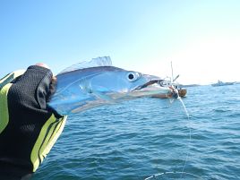 リール壊れるしアジいねぇし…50歳の初釣りは散々だった