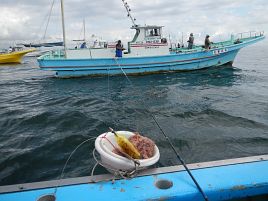 狂ったようにシャクりまくりイサキ最終戦でなんと…171匹!!