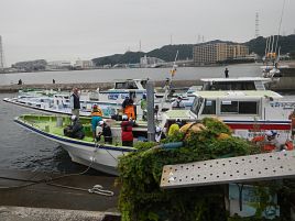 上州屋カワハギ大会で初の剣崎沖…渋すぎてなんとか3匹