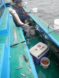 サビキアジは束釣り。カマスはあわや…ラスト10分でホッ♪