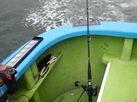 どったんばったん時化海でマダイとマハタ。イナダはお留守