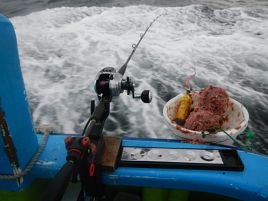 どったんばったん時化海でマダイとマハタ。イナダはお留守