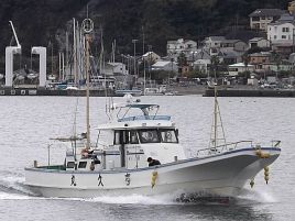 腰越ならウィリーでイシダイ狙い!?　 気になっちゃうじゃない