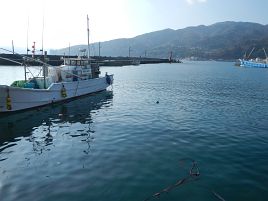 貧果だけどカイワリいるから初釣りは成功…そっとしといて