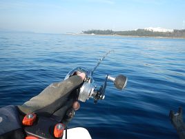 貧果だけどカイワリいるから初釣りは成功…そっとしといて