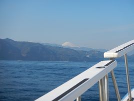 貧果だけどカイワリいるから初釣りは成功…そっとしといて