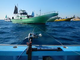 うわぁ～タチウオの主戦場が久里浜沖の140mになってるよ