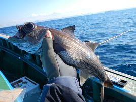 自慢できる釣果じゃないけどクロムツの自己最多を4倍更新