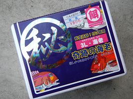 気になってた「○秘奇跡の海老」ゲット。カイワリ釣れる!?