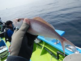 ウィリーが相手にされない塩対応。頑張ってクーラー半分!!