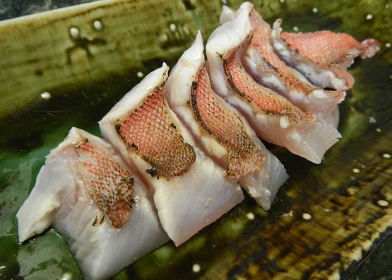 メダイの味噌漬け＆キントキの炙り醤油刺しが最強すぎる