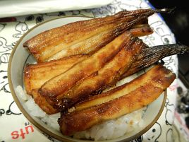 GWダメかも…魚信あっても掛け方が…夜アナゴは2匹だけ