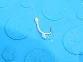GWは4連敗。ウィリーまで貧果に沈んでもうあかーーーん