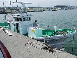 釣りができる喜びに小突きまくる標津沖カレイは44cmまで