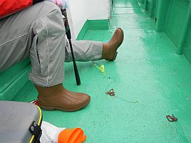 釣りができる喜びに小突きまくる標津沖カレイは44cmまで