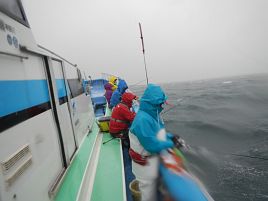 台風の中継かって時化海でたっのしーいカワハギ釣り大会