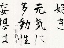 2018年の抱負は……「元気に多動性」と書き初めしとくね！